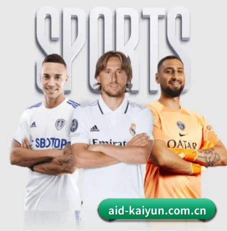 开云 APP - kaiyun
